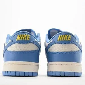 Nike Dunk Low Retro \
